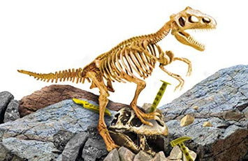 I'm a Genius - Super kit T-Rex - Realistic Skeleton of Dinosaur - Science Experiment for Kids